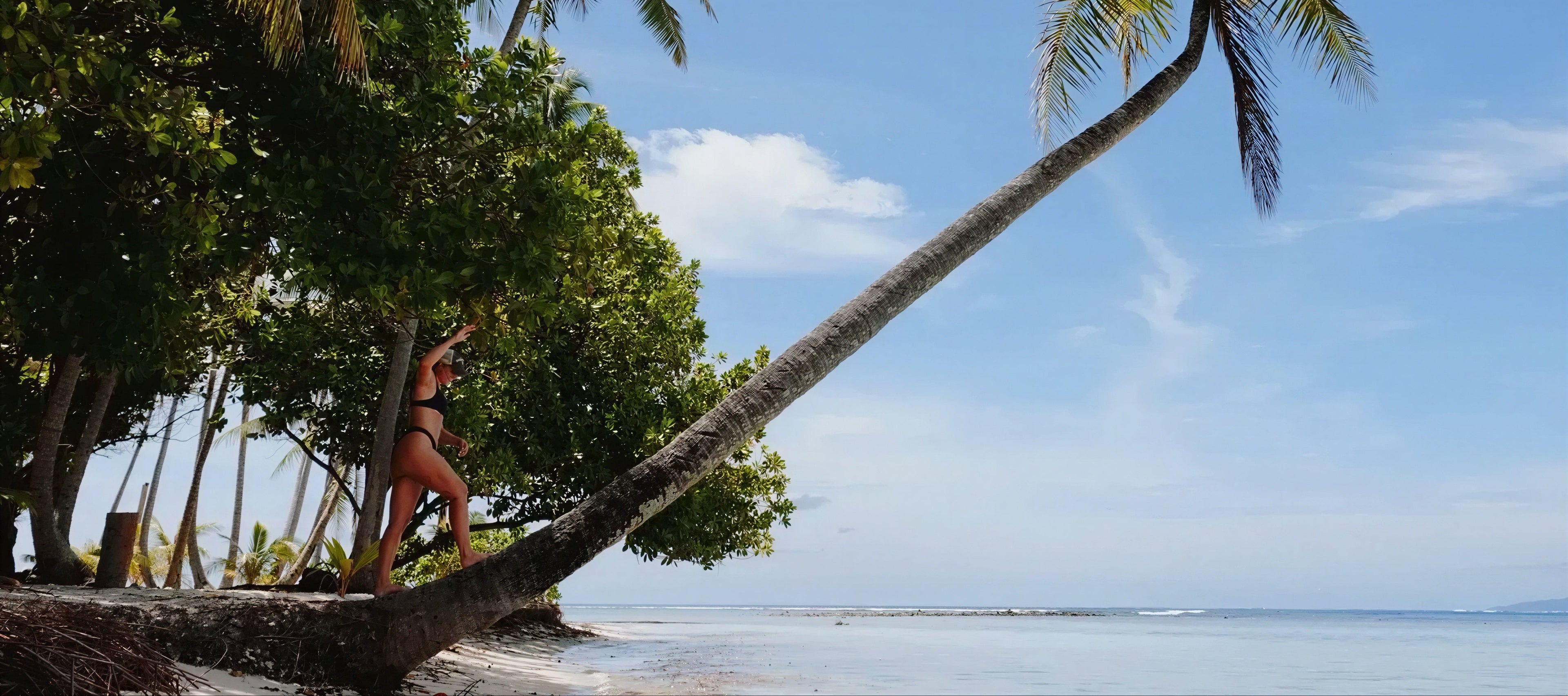 Person standing under a leaning palm tree on a tropical beach with clear blue sky.